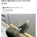 기어코 간석기시대까지 회귀해버린 인스타 갬성카페 이미지