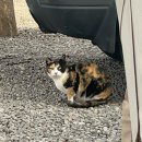 지리산 대경캠핑장 | 3대가 덕을 쌓아야 갈 수 있다는 캠핑장 구 대경오토캠핑장 현 지리산당근캠핑장 내돈내산 솔직 후기