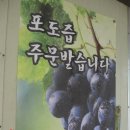 탑동민박 이미지