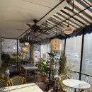 불곡북로 | 분당 | 메콩사롱 정자점 인테리어마저 예쁜 쌀국수집 추천