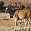 상영이네 이미지