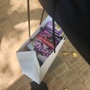 프리티도그 | 아직도 더운 날씨☀️🔥