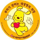미스터케이