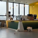 리앤드딩 이미지