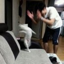 우리인생화이팅