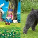 파트라슈 이미지