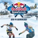 스플래쉬 이미지