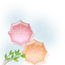 비영 Daum카페