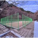 담장예쁜집 이미지