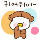 다둥이네카센터 이미지