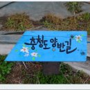 충청도양반길(2코스) 이미지