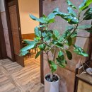 행복한수라상 | 광주 수완지구 행복한임금님 수완점에서 임금님수라상으로 푸짐한 한정식 후기