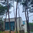 산180 네이버블로그