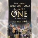 SPACE POME(스페이스폼) 이미지
