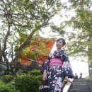 차카(chaka) 이미지