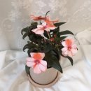 신대방수연약국 이미지