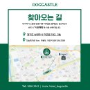 도그캐슬 이미지