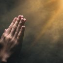 화평상사 이미지