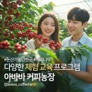 도봉사랑길장애인자립생활센터 | 아바바커피농장 x 대전 한밭 장애인 자립생활센터, 커피 드립백 만들기 체험 프로그램 원데이클래스...