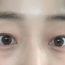 그라지오 이미지