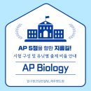압구정코딩컨설팅