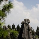 석림3로 이미지