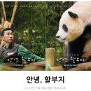 영화 <안녕, 할부지> 리뷰 후기 정보 * 바오패밀리는 사랑이야~ 힐링 영화 추천