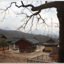 지축동 흥국사길 이미지