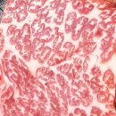 대관령숯불회관 이미지