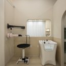 글로리퍼피 이미지