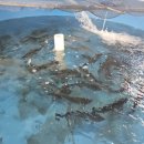 평창송어촌 이미지