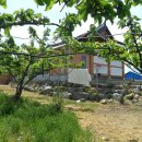 배나무민박 이미지