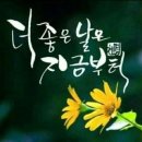 좋은세상 티스토리