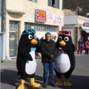 거제도국제펭귄수영축제 이미지