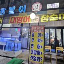 광발이