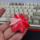 카페백조