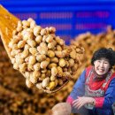 이조전통식품