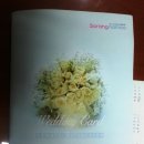 G8066 | 사랑나무 청첩장 샘플후기