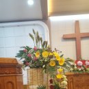 산정현교회 이미지