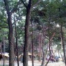 명성가족캠핑촌 이미지