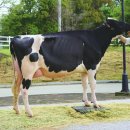 경연목장 이미지