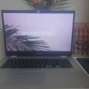 ASUS 17.3인치 크롬북, 몰테일 이용 후기