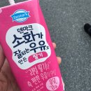 에이스적산 | 06.16~06.30 아름다움을 사랑하는 마음은 영원하길