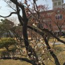 광양 꽃자리 | 탐매동인 16인 매화시/제2회 순천 매화시낭송회/순천복음교회