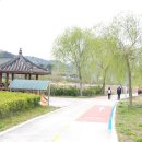 낙동강변27 이미지