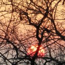 동명근린공원(축구장) | 양천구 숨은 힐링코스 — 계남근린공원 &amp; 신정산 둘레길 산책 후기