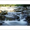 거북만 펜션 이미지