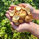 고명농장 이미지