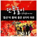 🍁 단풍놀이 가자~ '등산'이 몸에 좋은 8가지 이유 🍁 이미지