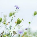 하늘가득 이미지